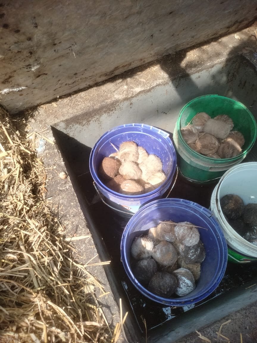 Birbhum: 40 crude bombs recovered in Rampurhat days after violence