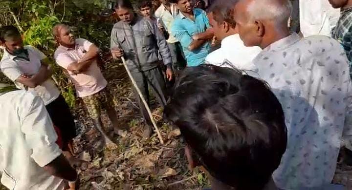 Seoni: Tiger kills man; body found in pieces
