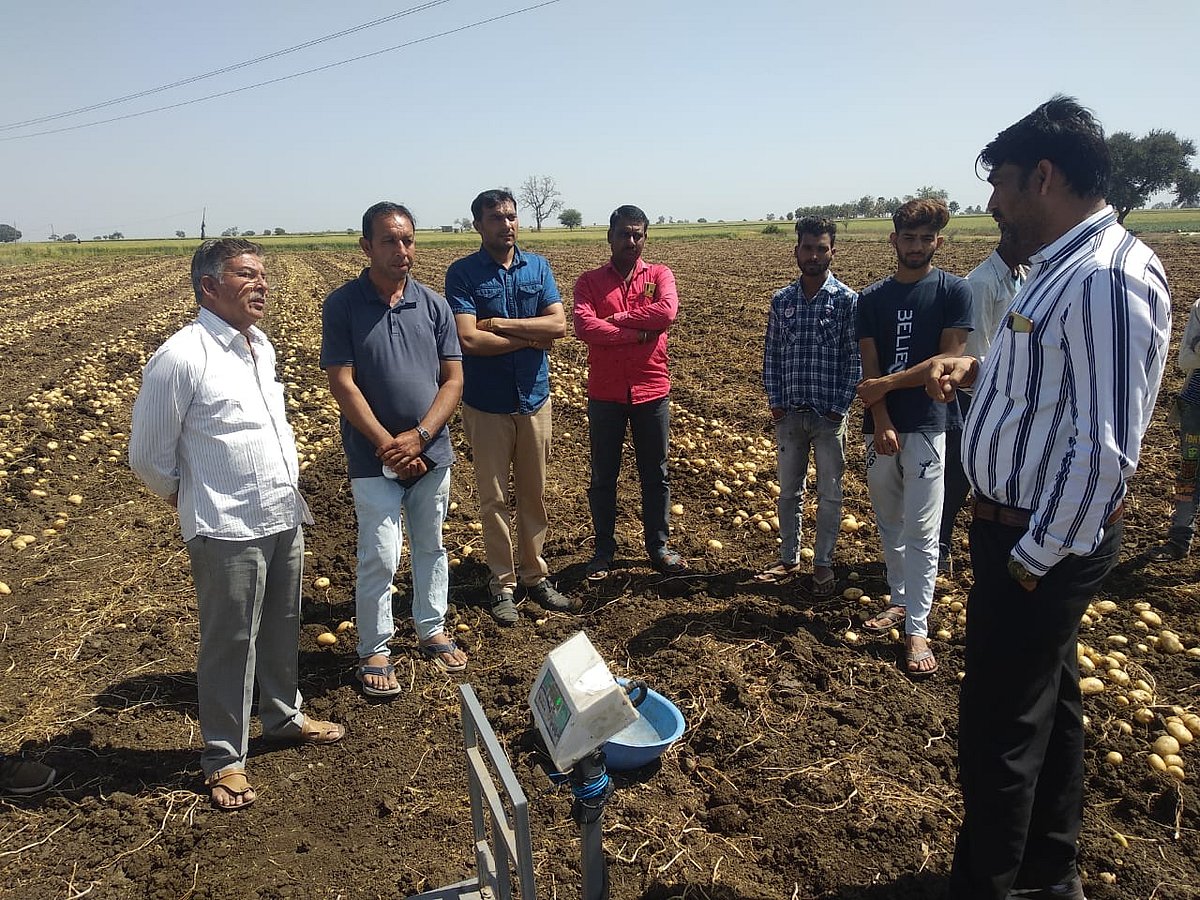 Indore: Progressive farmer getting
50% more potato yield