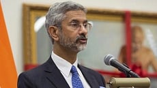 article-image