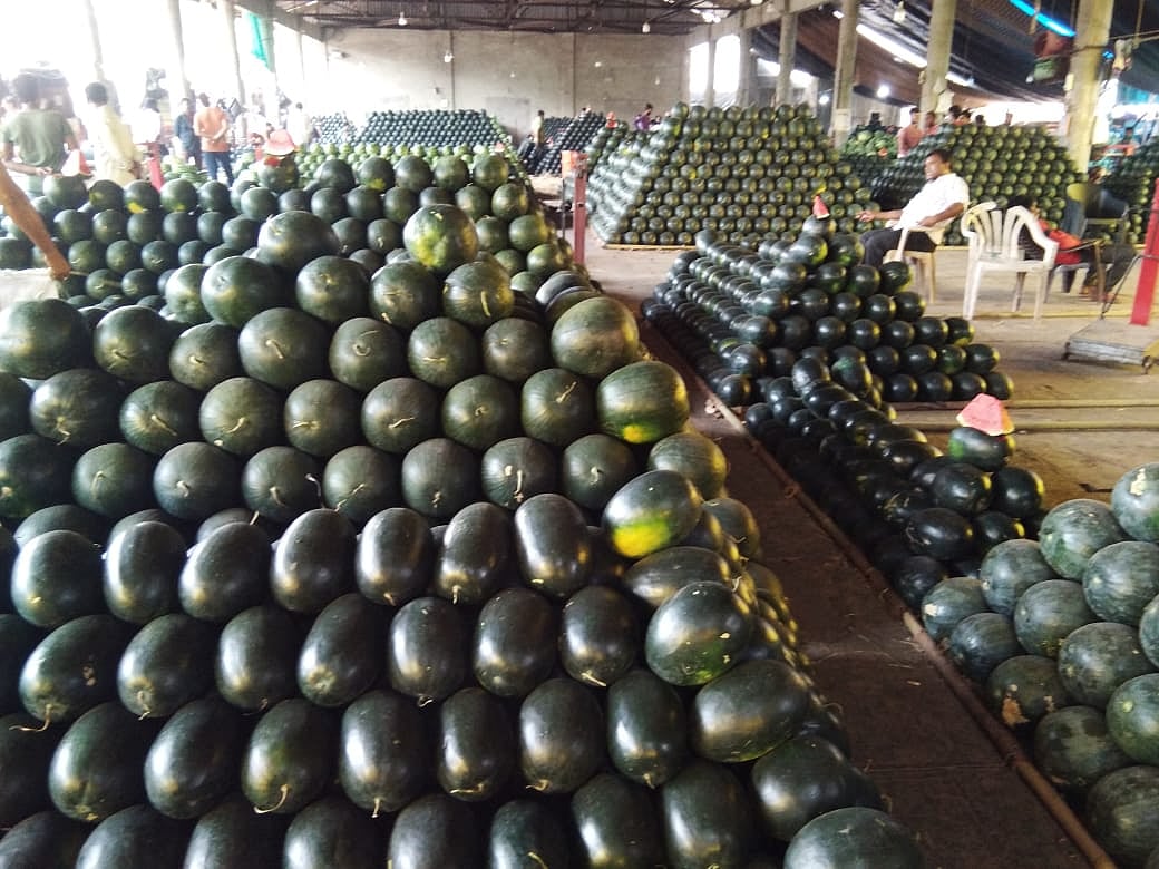 Navi Mumbai: Price of watermelons drop due to increase in supply