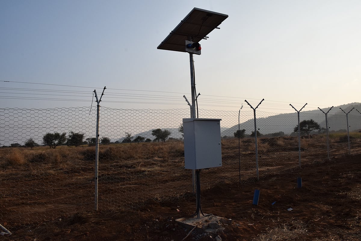 Solar panels have been placed at various points to provide current to the fence and the cameras at Kuno National Park, Madhya Pradesh