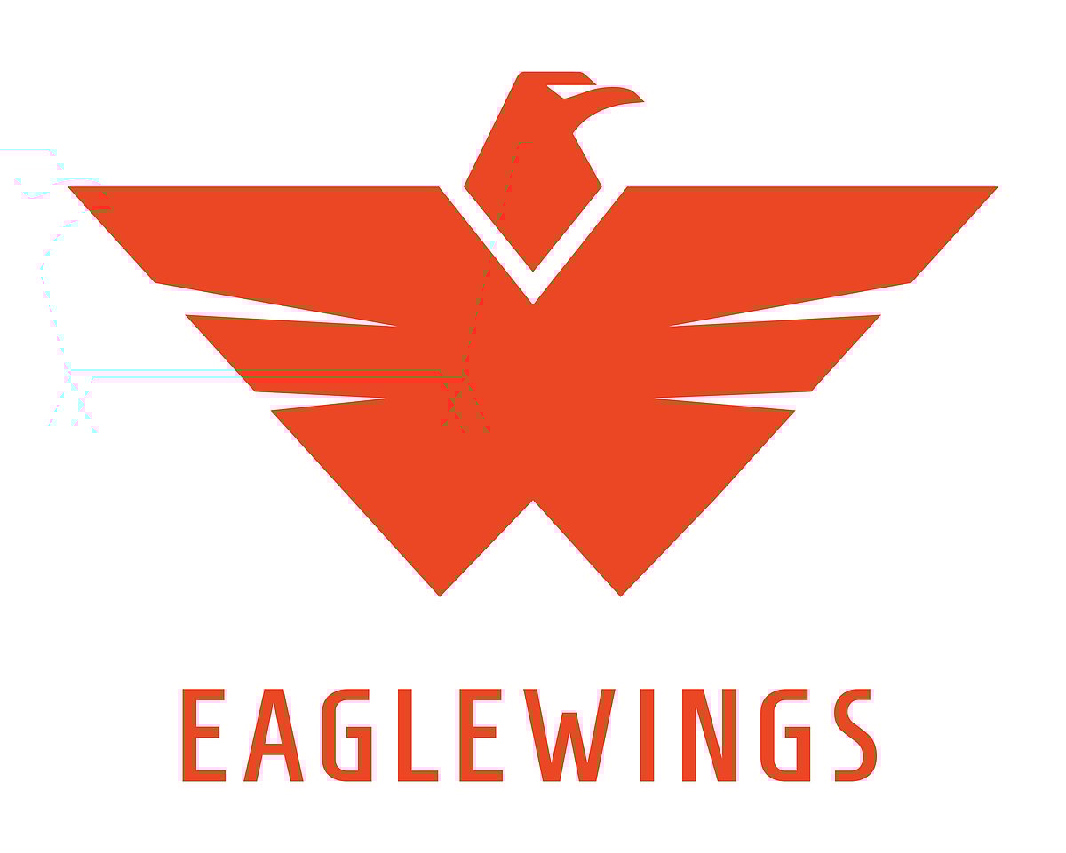 Launched in 2021 by Mumbai Angels, the Co-Investment Program has roped in multiple investment networks and accelerators in backing-up a few chosen high-potential startups.
/Eaglewings Ventures logo |