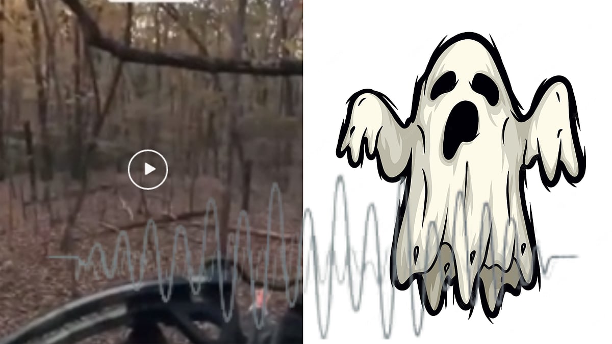Watch: Hunters hear haunted sounds in the woods, video goes viral