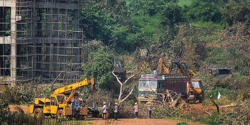 GOI says build Mumbai Metro 3 car shed at Aarey, here's what NGOs and  environmentalists think about...