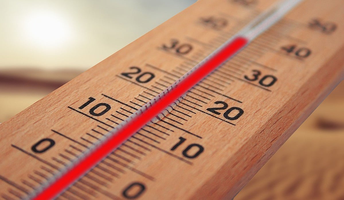 Cannot disregard fallout of climate change any longer, writes Bhavdeep Kang