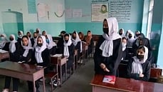 article-image
