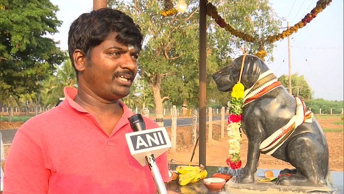 Tamil Nadu man to build temple in memory of pet dog, spends Rs 80,000 over marble statute