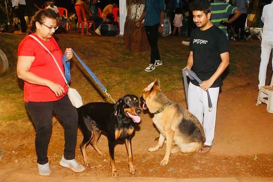 Mumbai Around 300 animals participated in pet fest at Borivali; see pics