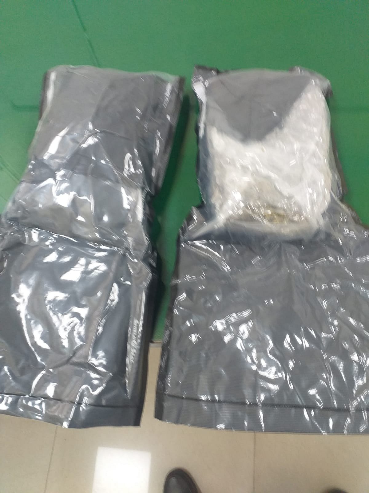 Mumbai: Hydroponic Weed worth Rs 1.5 cr smuggled from USA seized by NCB, one held