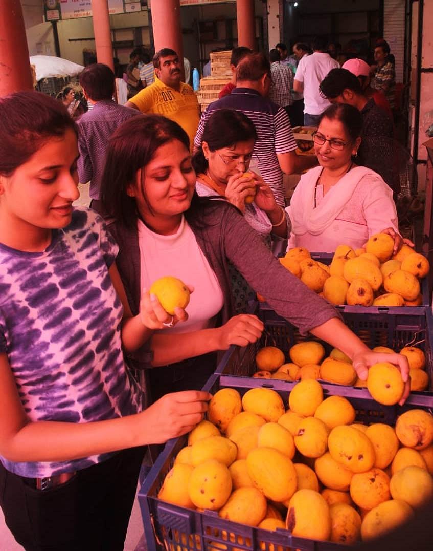 Girls buying mangoes at Jatra on its last day | Pintu Namdev