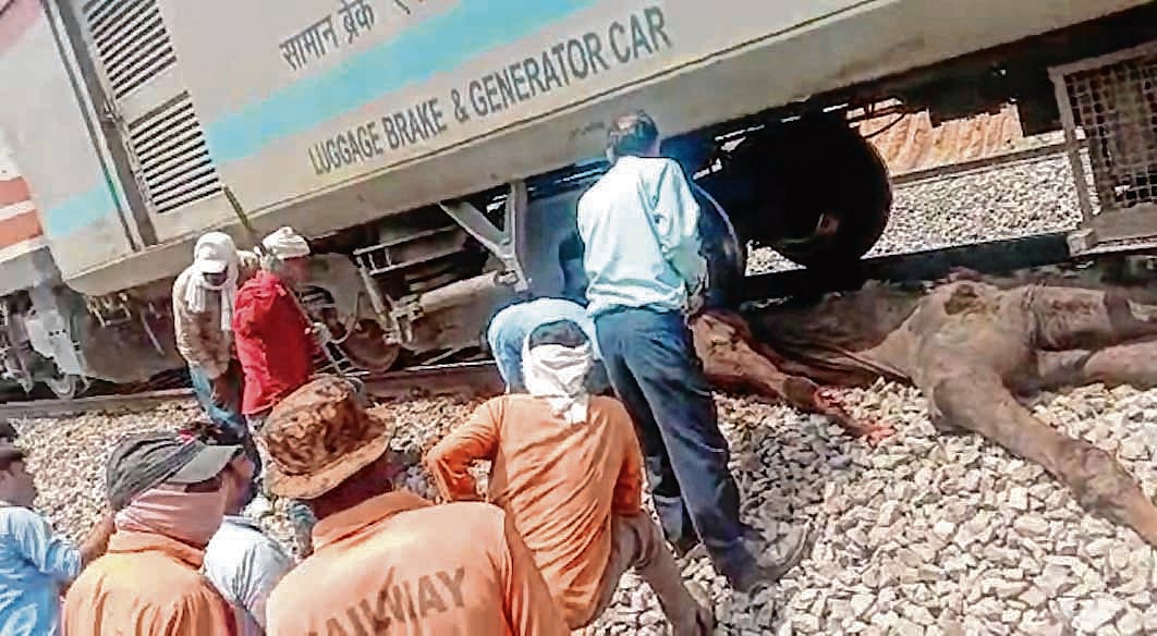 Madhya Pradesh: Shatabdi Exp hits camel, stranded for 2 hours