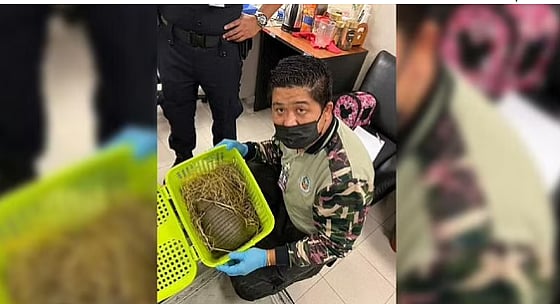 Two Indian women arrested in Thailand for smuggling more than 100 animals
