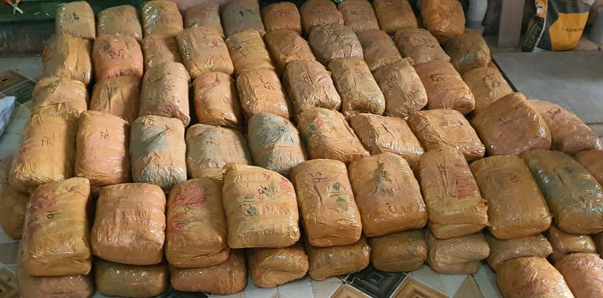 Neemuch: over two quintals of cannabis seized 