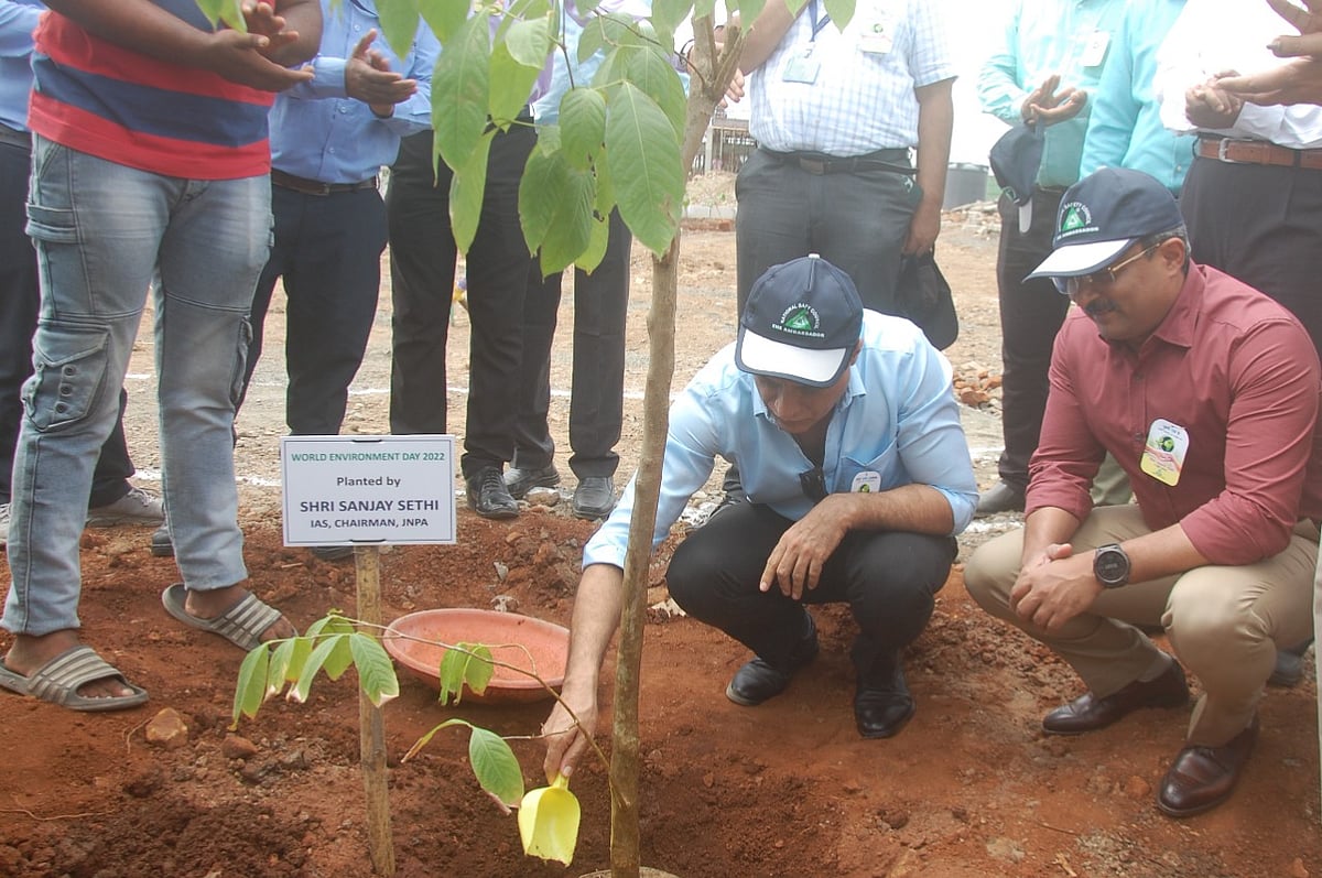 Navi Mumbai: World Environment Day celebrated with tree plantation drive at JNPA