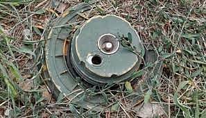 Jammu and Kashmir: Two Army personnel injured in accidental mine blast in Poonch district near LoC