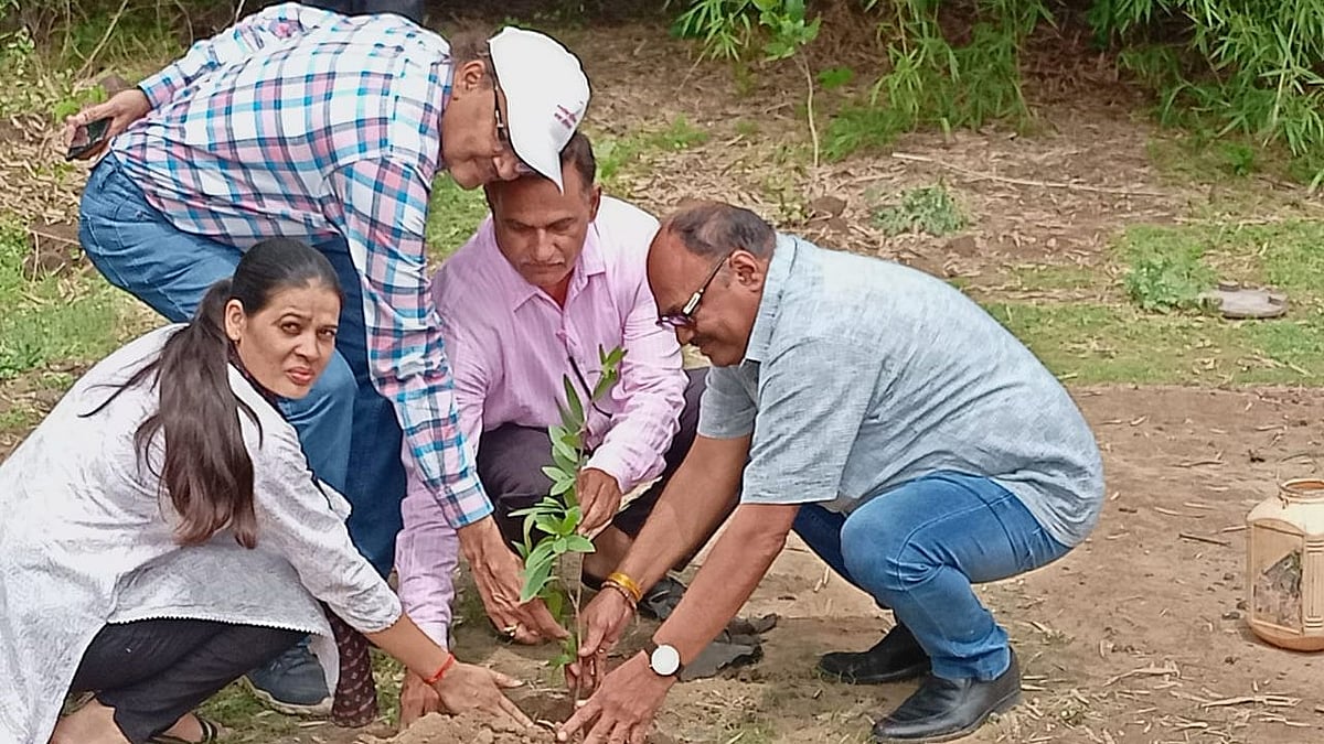 Narmadapuram: Chief municipal officer, others plant saplings