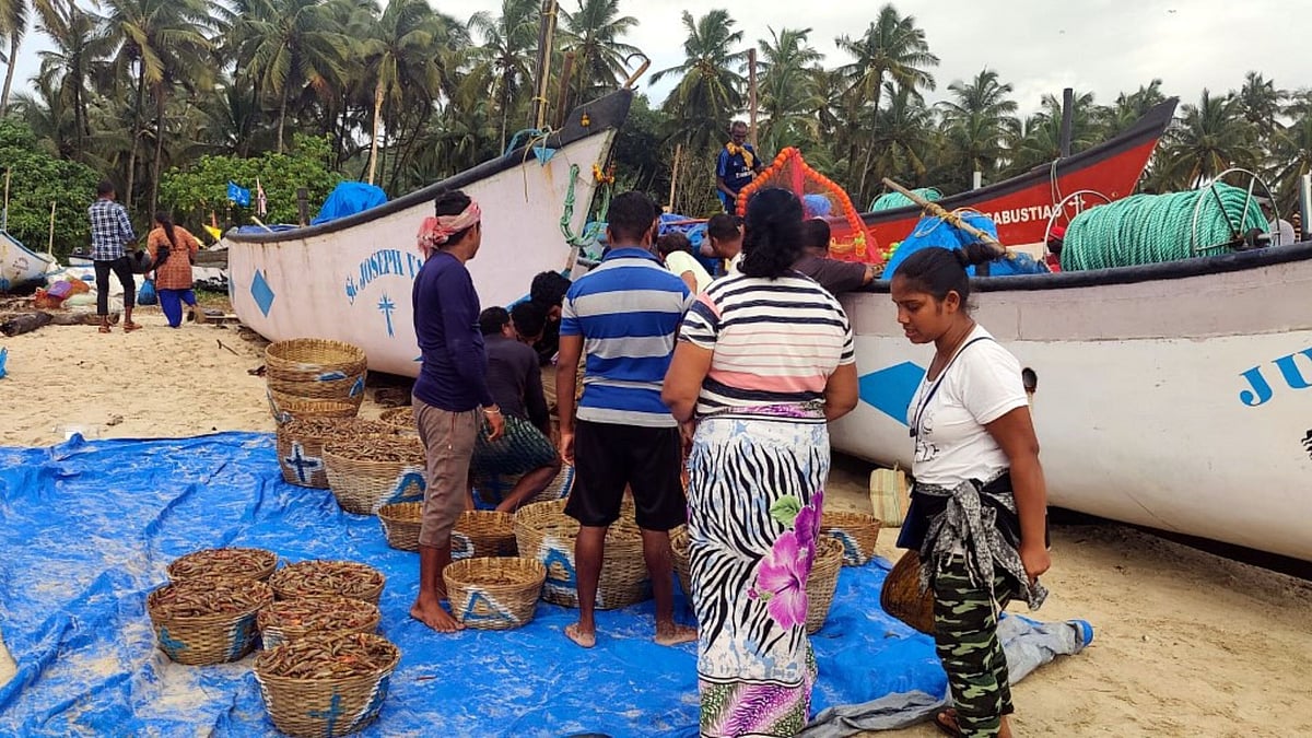 Goa: Fisheries officials impound 20 boats for fishing during ban | The Goan Network