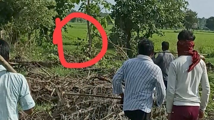 Ashta: Leopard attacks two villagers, farmers panic
