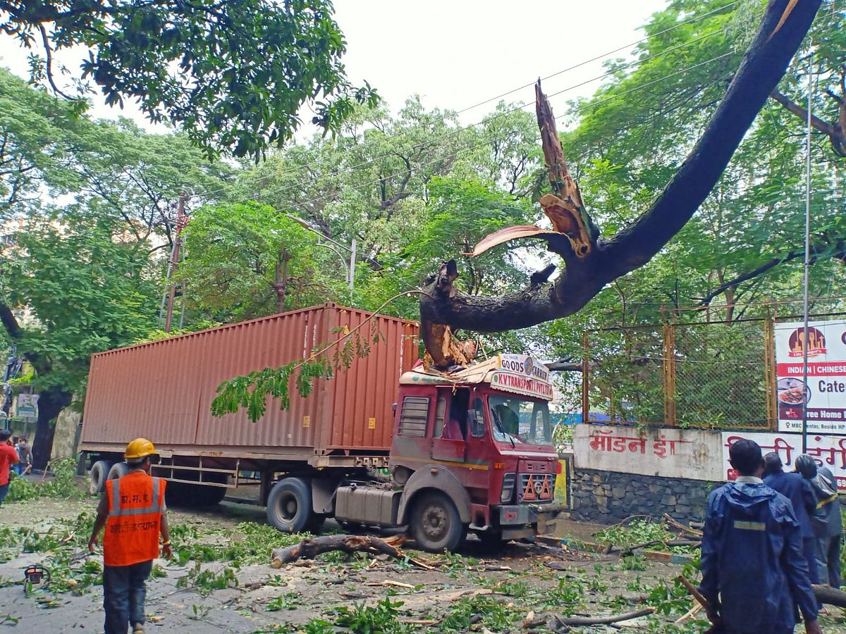 Thane: Container damaged due to tree fall, no casualties reported