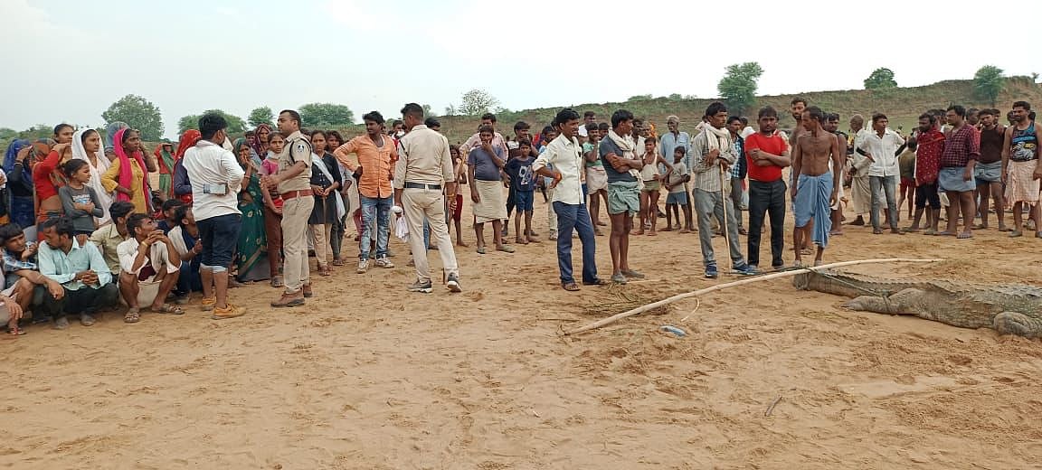 MP: Crocodile swallows 10-year-old boy alive, villagers torture the reptile  