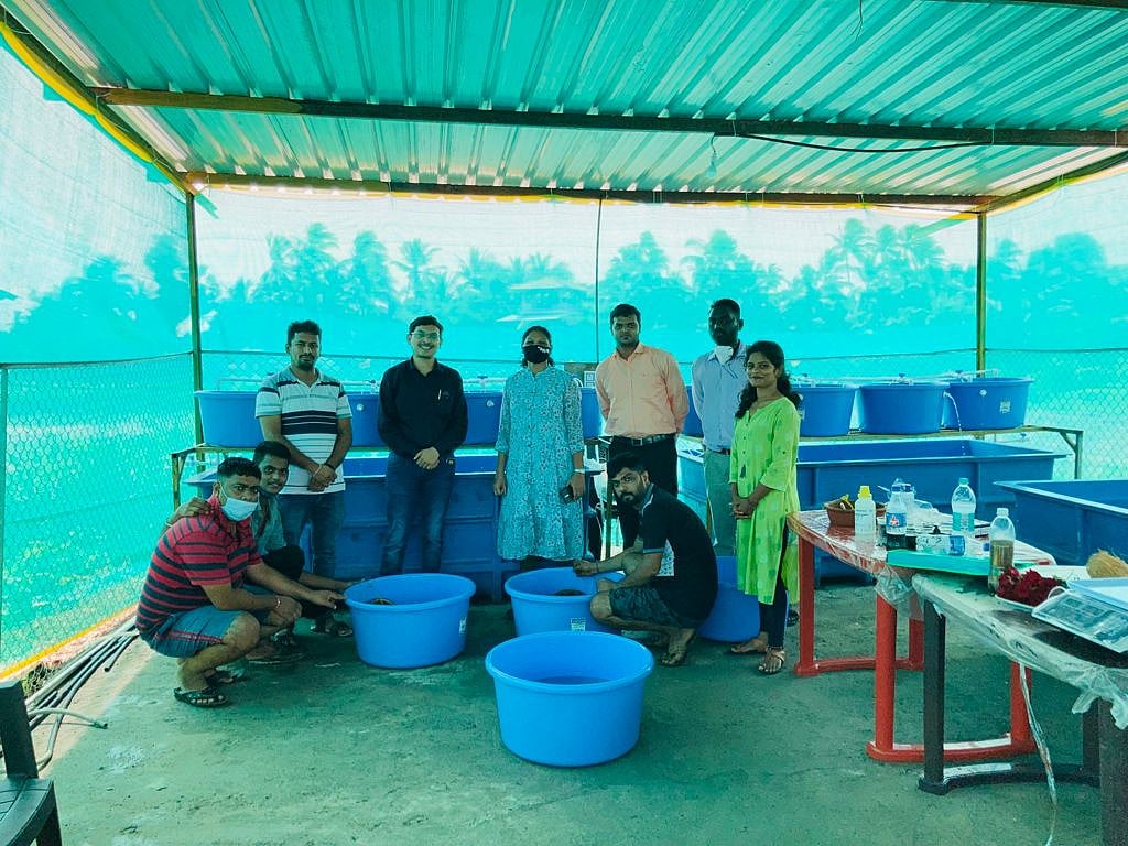 Vasai gets Pearlspot fish hatchery for Palghar tribals' livelihood | FPJ 