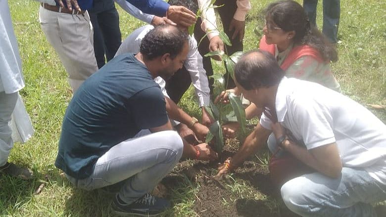 Pithampur municipality launches plantation drive