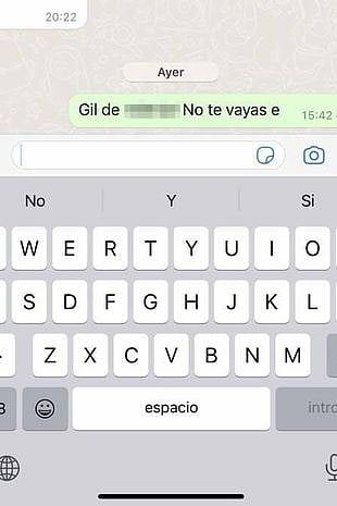 A screenshot of the Whatsapp message from   Mina Bonino to Casemiro