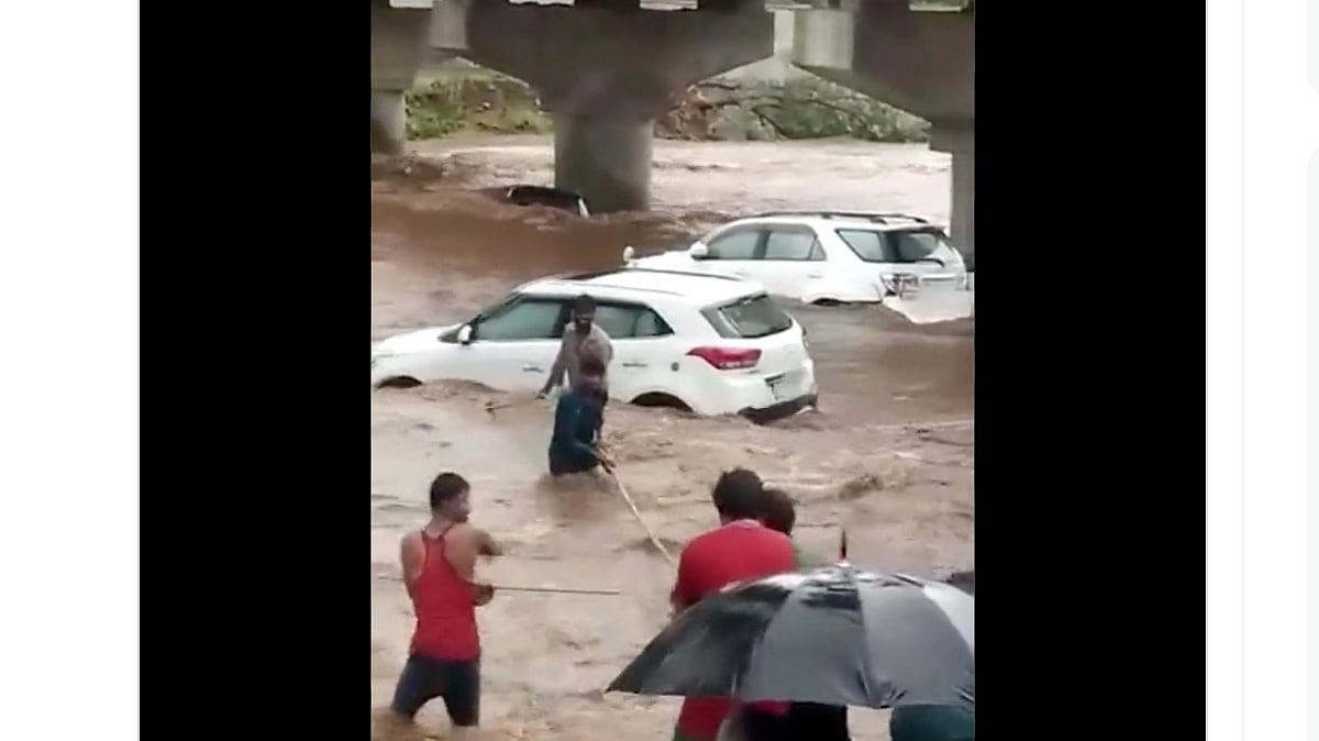 On Camera: 14 cars swept away, 50 picnickers rush to safety after sudden surge in MP river  