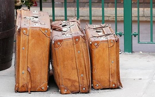 Scary! Not cash prize, New Zealand family found THIS in suitcase won from storage unit auction