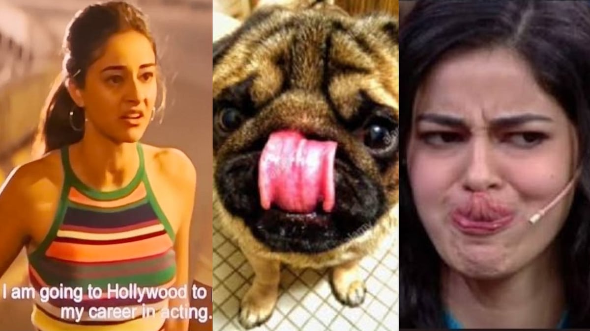 Ananya Panday trolled over 'Hollywood dialogue' from Vijay Deverakonda's 'Liger'