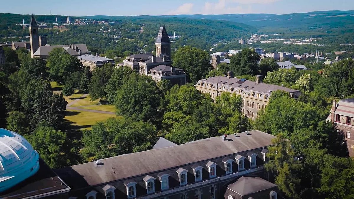 Cornell University (New York)  