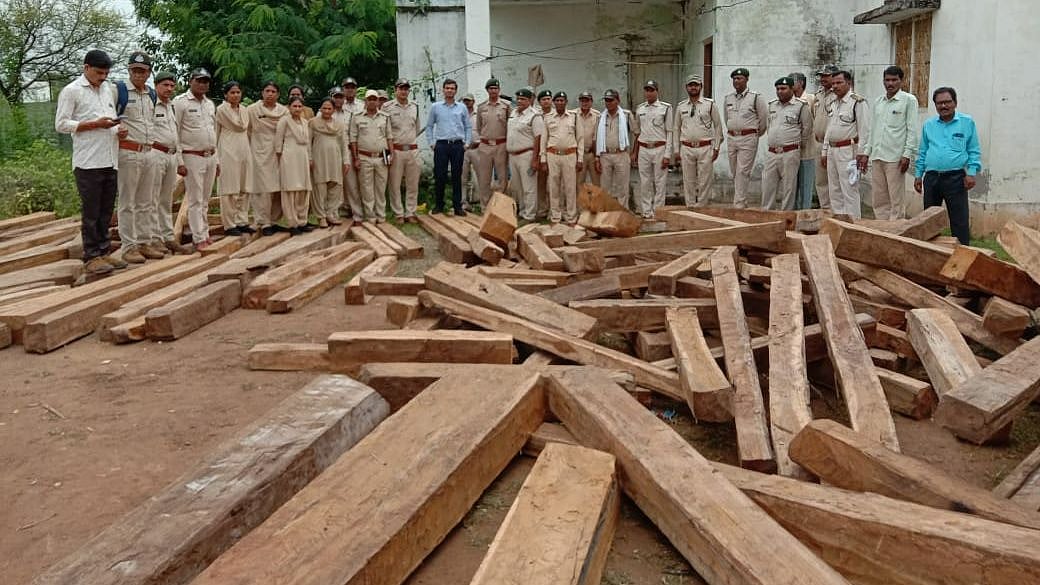 Sendhwa: Teakwood logs worth more than Rs 40 Lakh recovered, 1 arrested