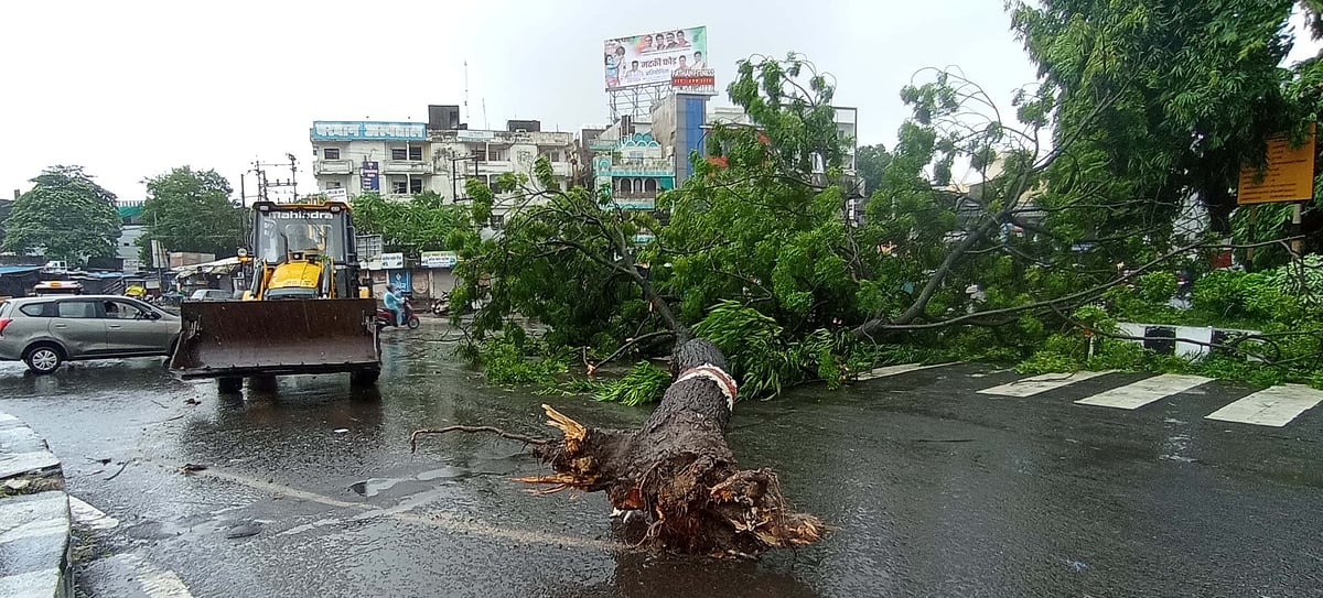 Blackout in more than half of Bhopal following rains