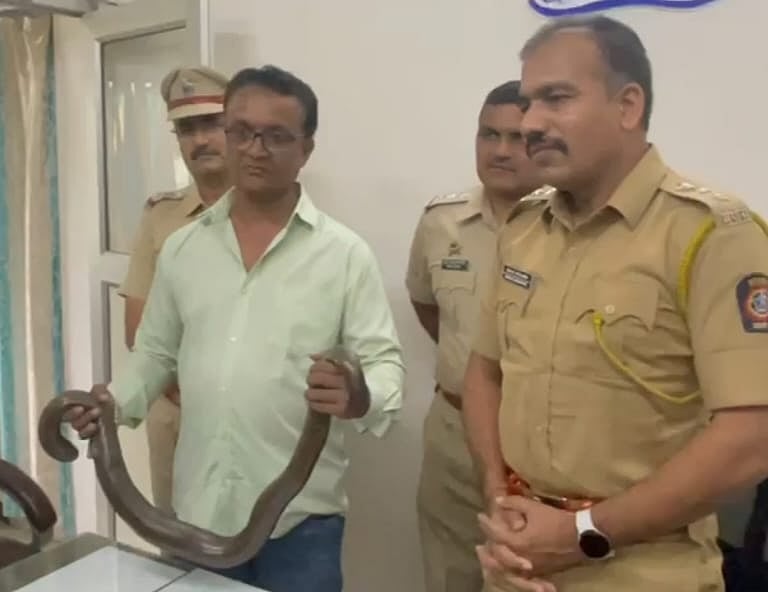 5 in possession of sand boa snakes worth Rs 70 lakh arrested in Kalyan