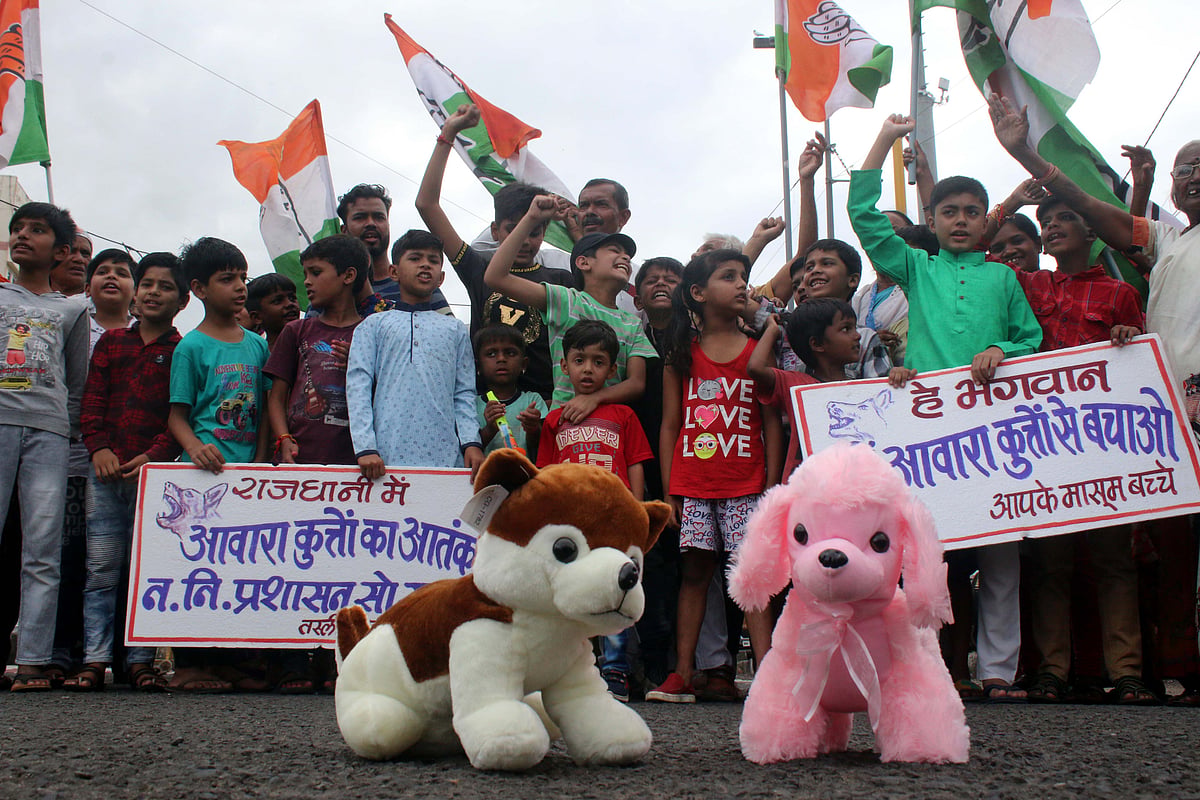 Protest over stray dog menace in Bhopal