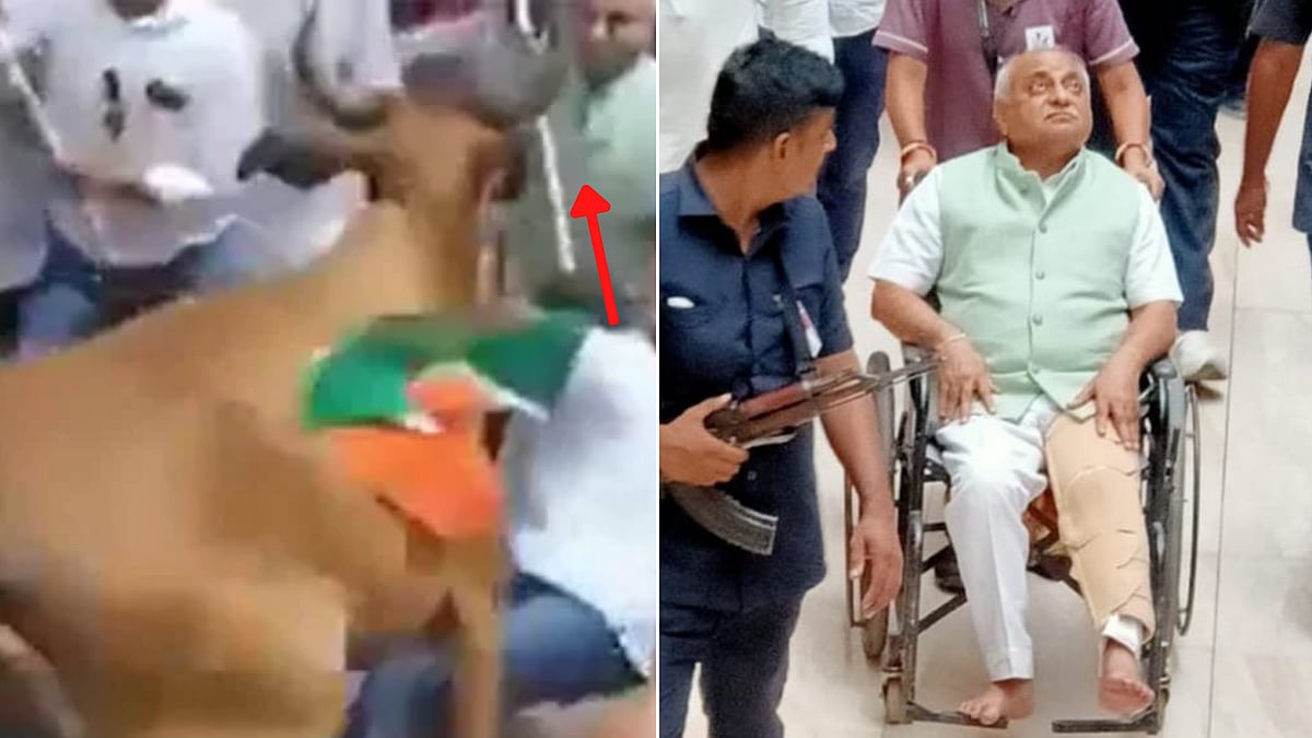 Gujarat: Former Deputy CM Nitin Patel injured by cattle during Tiranga rally