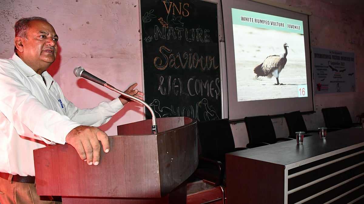 World Vulture Day: ‘Declining habitat, diclofenac biggest threat to vultures’