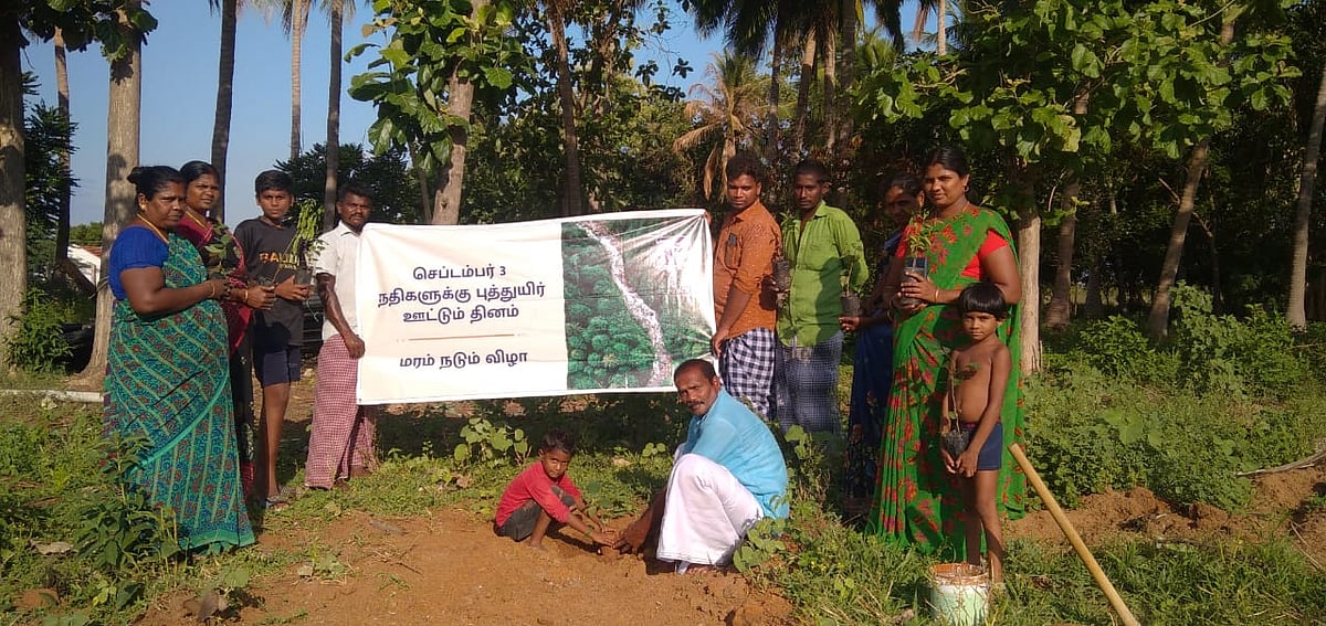 Farmers plant 2.5 lakh trees on Sadhguru's birthday