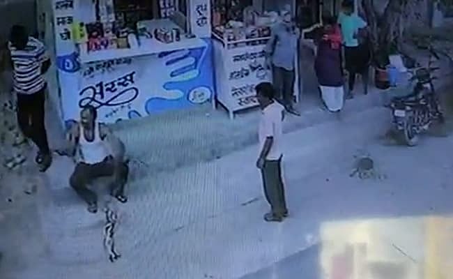 On camera: Snake catcher dies of cobra bite in Rajasthan 