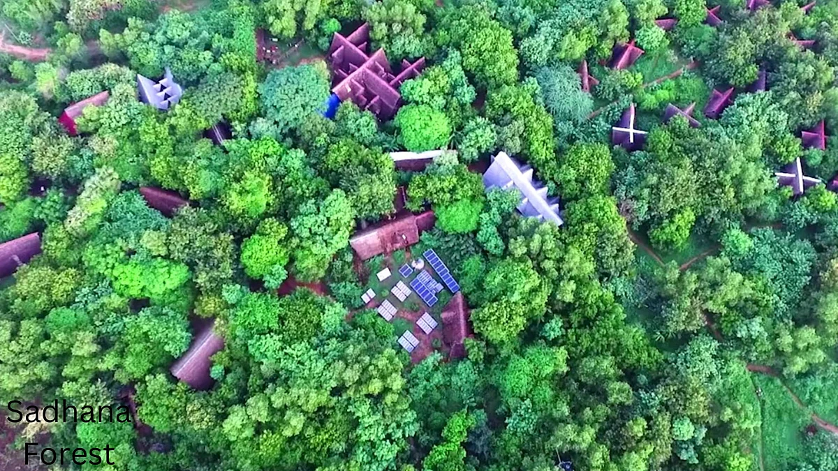 Auroville Sadhana Forest