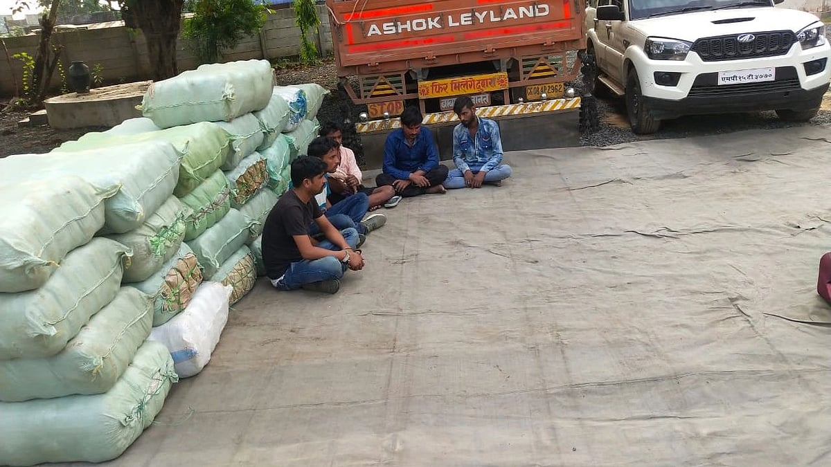 Indore: Man held with 2.30 kilograms of cannabis