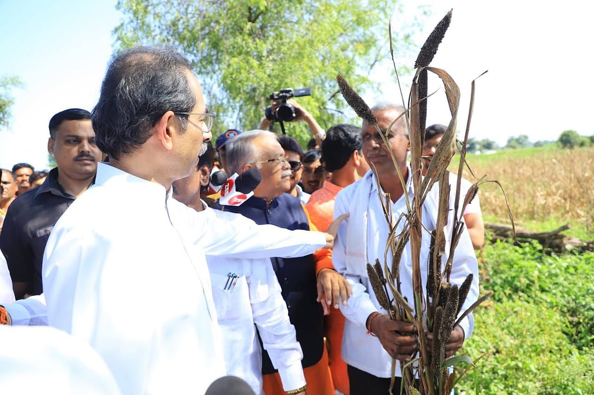 Former Maharashtra CM Uddhav Thackeray demanded that the state government should not only immediately declare wet drought, as the havoc has been created by retreating rains damaging the crops, but also provide Rs 50,000 per hectare assistance to the farmers