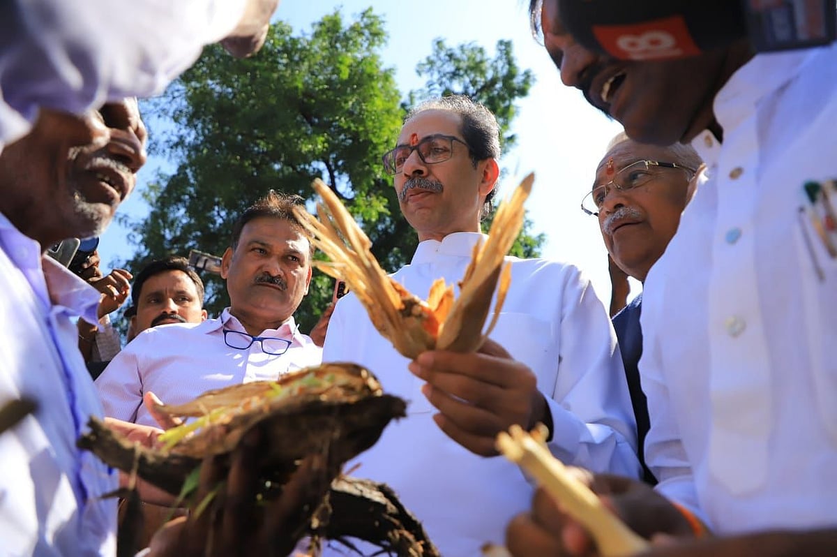 Former Maharashtra CM Uddhav Thackeray demanded that the state government should not only immediately declare wet drought, as the havoc has been created by retreating rains damaging the crops, but also provide Rs 50,000 per hectare assistance to the farmers