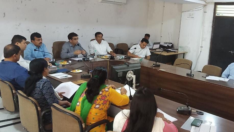 Dewas: ‘Thousands of bamboo saplings to be sown under ODOP’