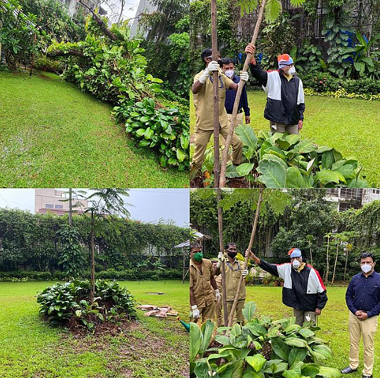 Amitabh Bachchan planting trees in Jalsa