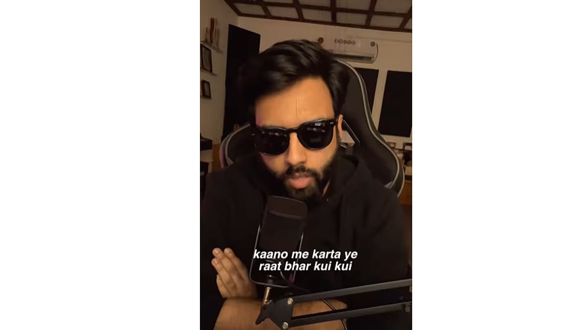 Watch: New mosquito anthem by Yashraj Mukhate; describes everyone’s irritation with blood-sucking insect | screengrab- Instagram