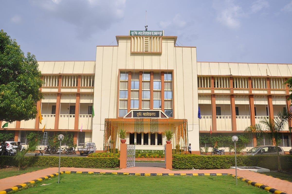 BJP-RSS saffronizing educational institutions in MP, says Congress after VC appointment