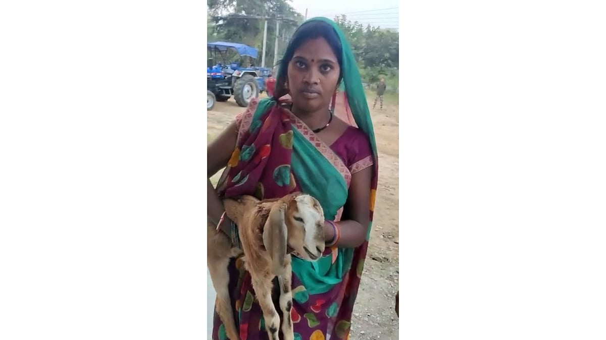 Jabalpur: Owner booked after dog bites baby goat to death