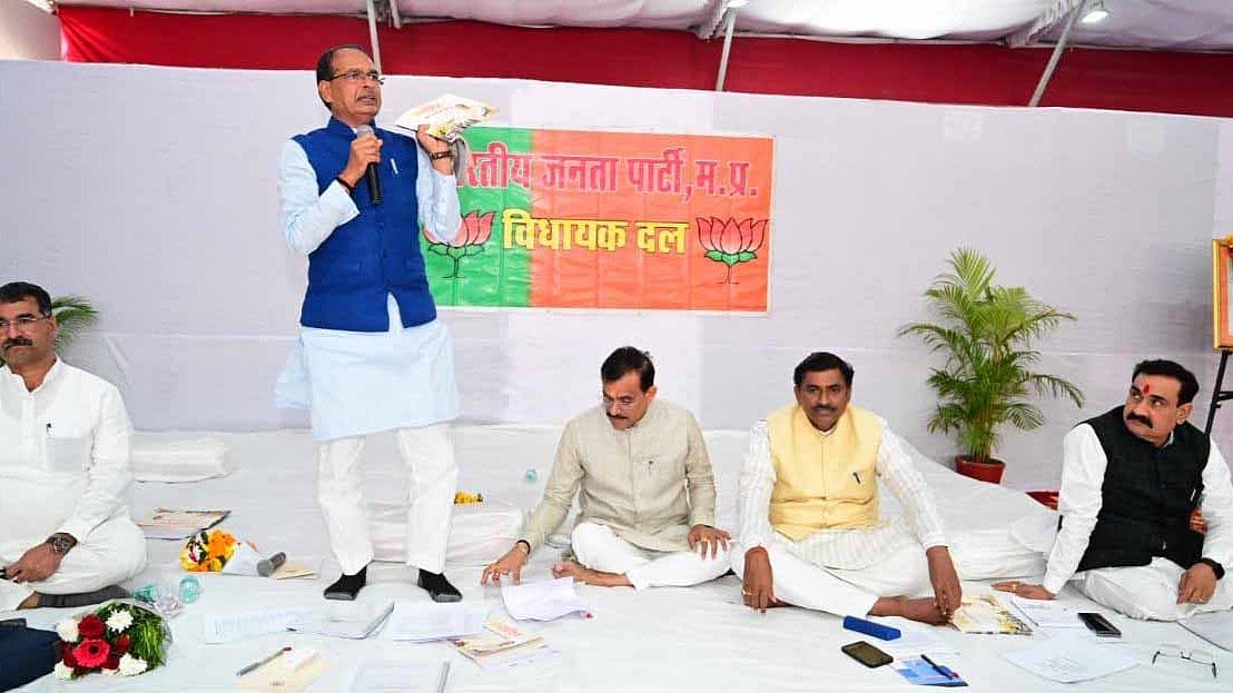 article-image